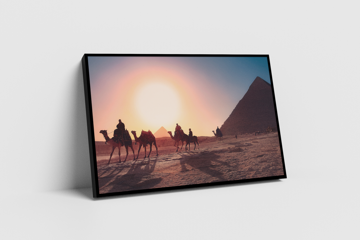 Camellos y pirámide - Egipto