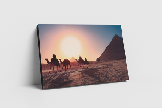 Camellos y pirámide - Egipto