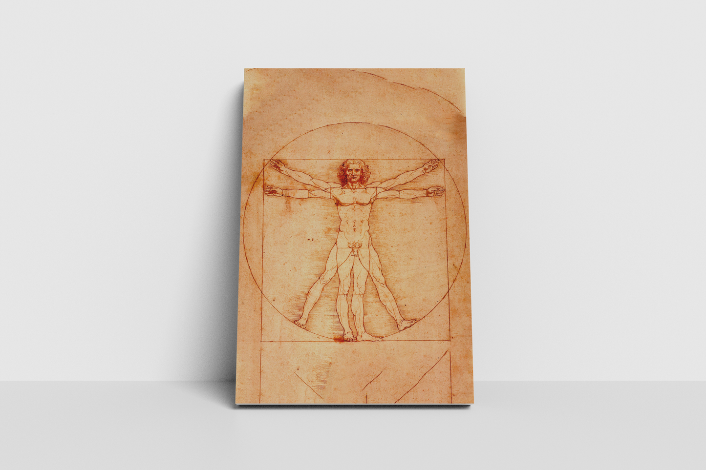 Hombre de Vitruvio - Leonardo da Vinci
